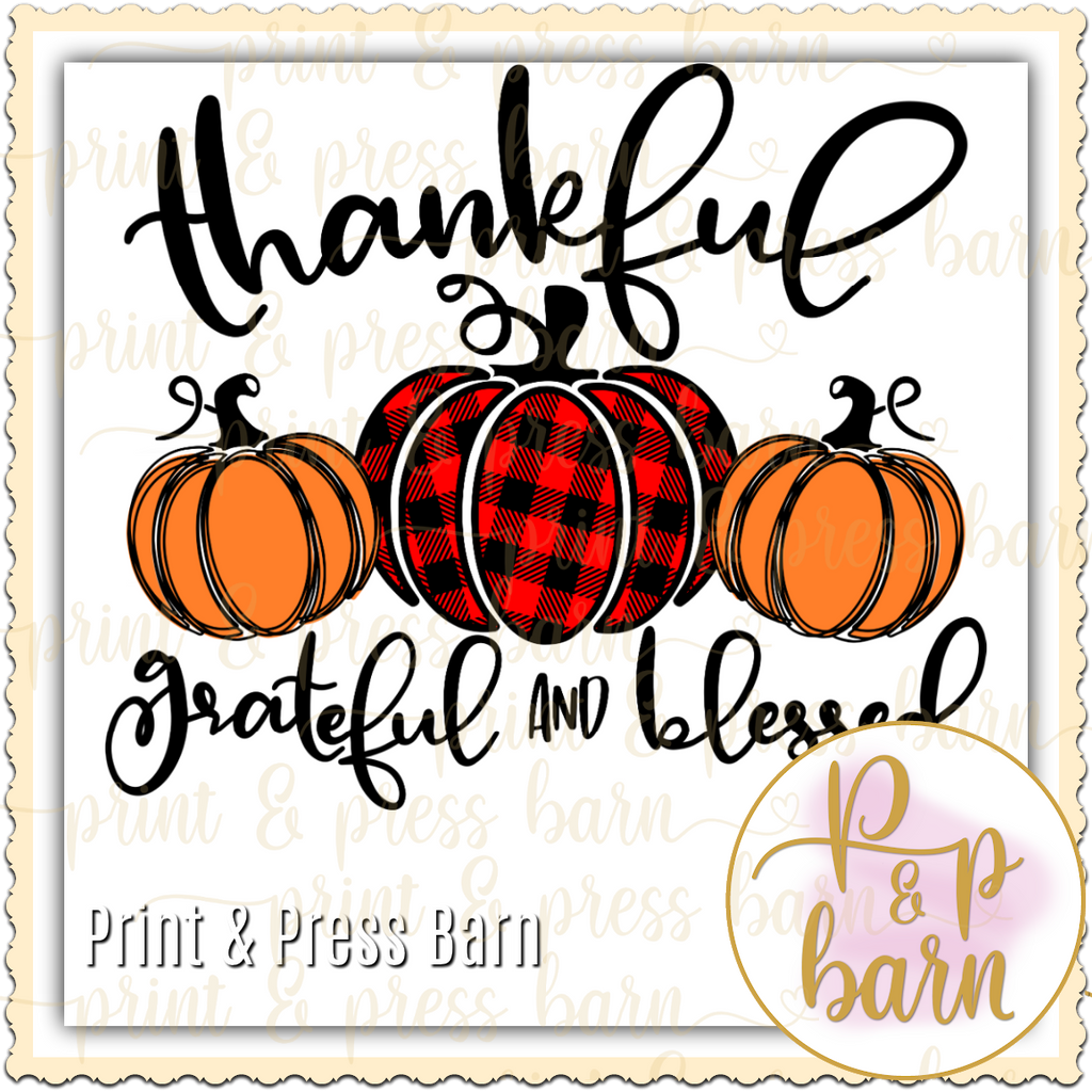 Thankful, Grateful, Blessed Pumpkin Fall Pillow – Emory Valley