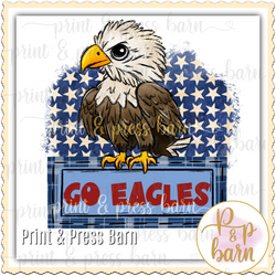 Go Eagles Banner- red blue