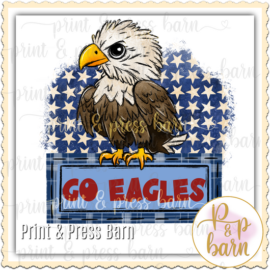 Go Eagles Banner- red blue