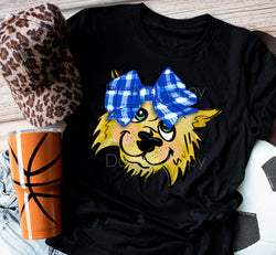 Girl Wildcat