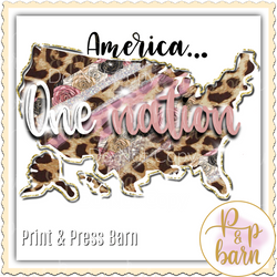 America... one nation