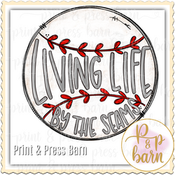 Living Life by the Seams Baseball AR