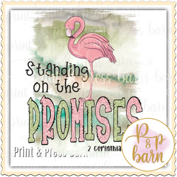 Standing on the Promise