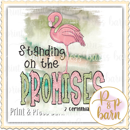 Standing on the Promise