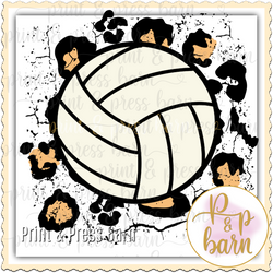 Volleyball Leopard Background
