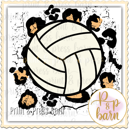 Volleyball Leopard Background