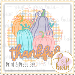 THankful- pastel