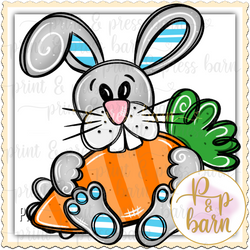 Boy Bunny Carrot