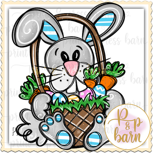 Boy Bunny Basket