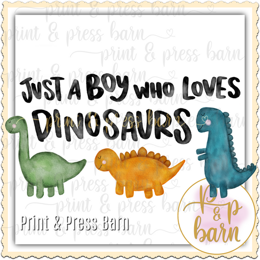 Boy who loves Dinosaur