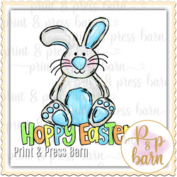 Hoppy Easter Boy Bunny AR 101