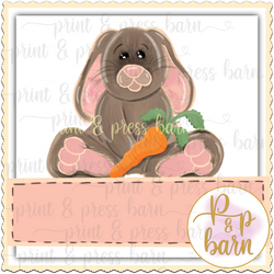 Sitting Bunny with plaque- pink