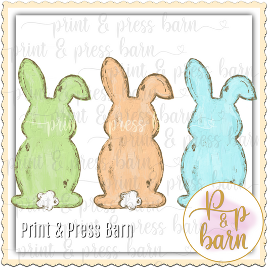 Patel Bunny Trio 1