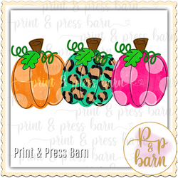 Bright Pumpkin Trio