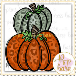 Fall Pumpkin AR 103