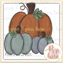 Pumpkin Trio- AR