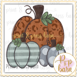 Leopard Pumpkin Trio- AR