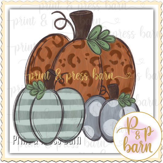 Leopard Pumpkin Trio- AR