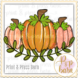 Pumpkin Trio vine