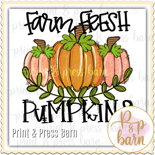 Farm Fresh Pumpkins