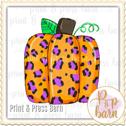 Orange Purple box pumpkin - G