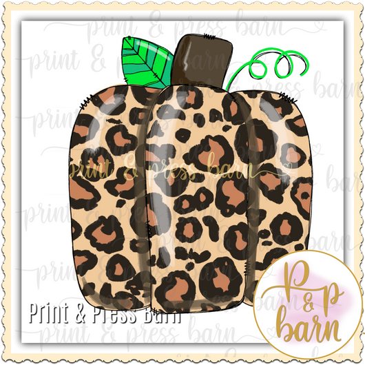 Leopard pumpkin - G