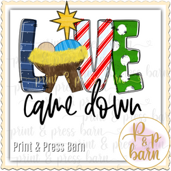 Love Came Down Manger 3