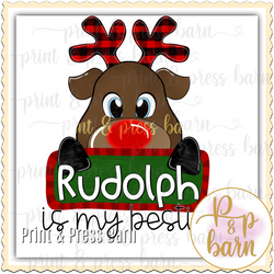 Rudolph is my bestie 101