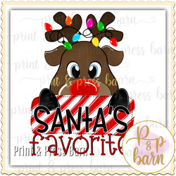 Santa's Favorite- reindeer