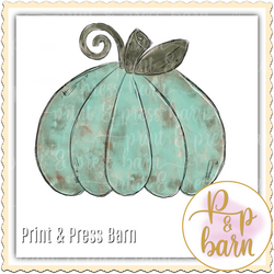 Pumpkin mottled Teal