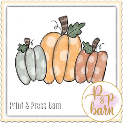 Pumpkin Trio 3- AR