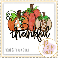 Thankful Pumpkin Trio