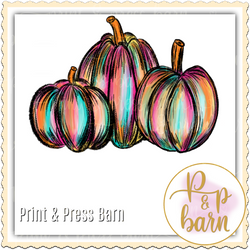 Pumpkin multi color set combo