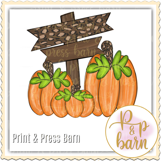 Pumpkin Patch Set- IO
