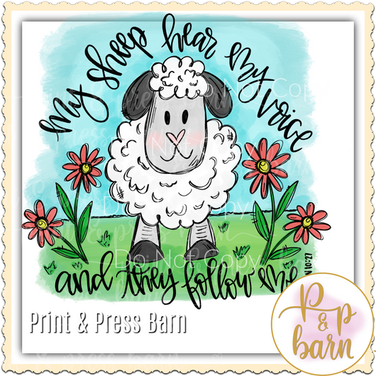 Lamb with quote