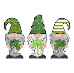 St Patrick Gnome Trio 2