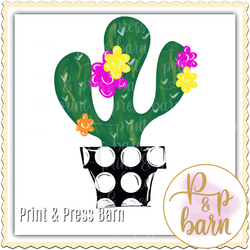 Cactus Pot
