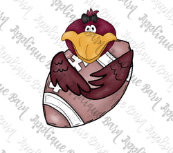 Gamecock Football