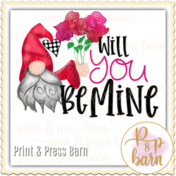 Will you be my Valentine Gnome