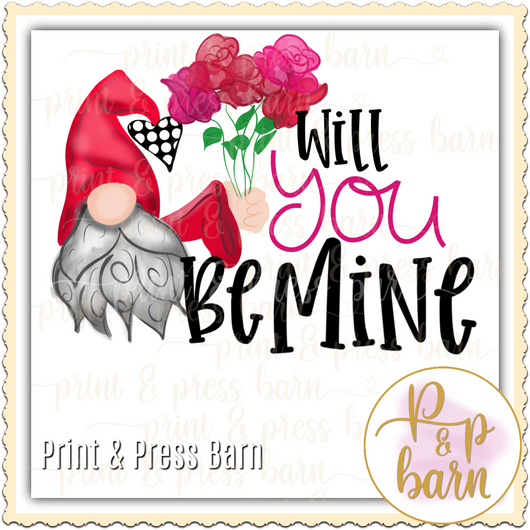 Will you be my valentine Gnome