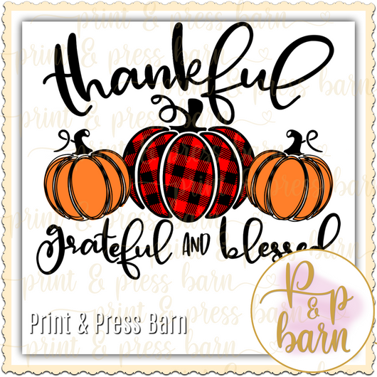 Thankful Grateful Blessed pumpkins